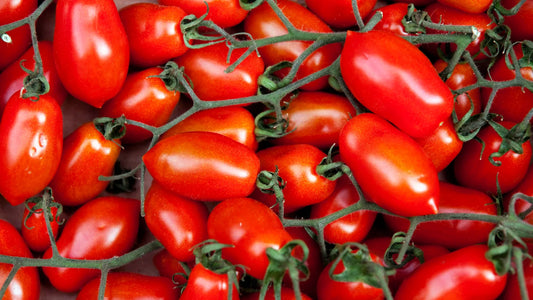 Come riconoscere un pomodoro che vale: 3 segnali da professionista.